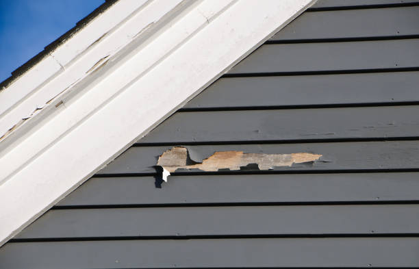 Affordable Siding Repair and Maintenance Services in Newmanstown, PA